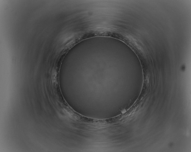 X0000094810964200711241442