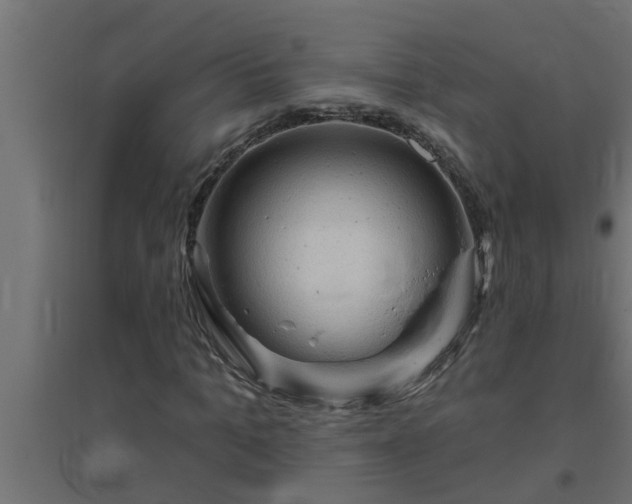 X0000094810965200711241442