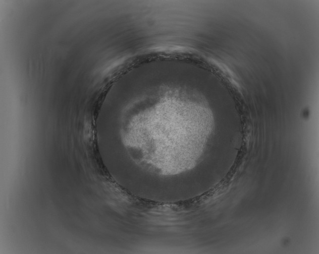 X0000094810966200711241442