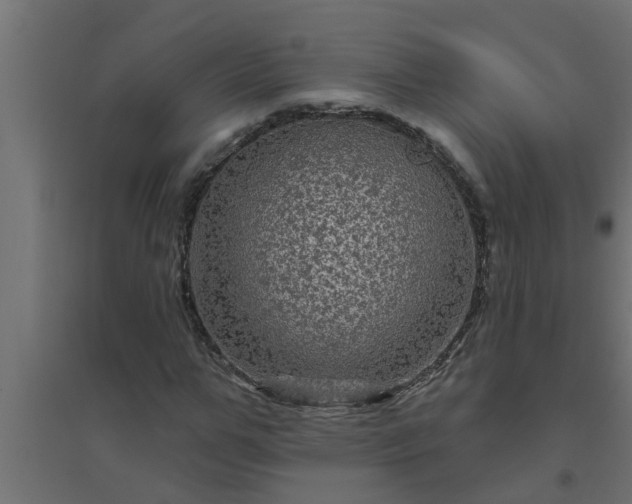 X0000094810967200711241442