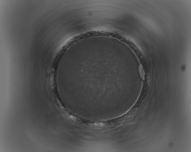 X0000094810968200711241442