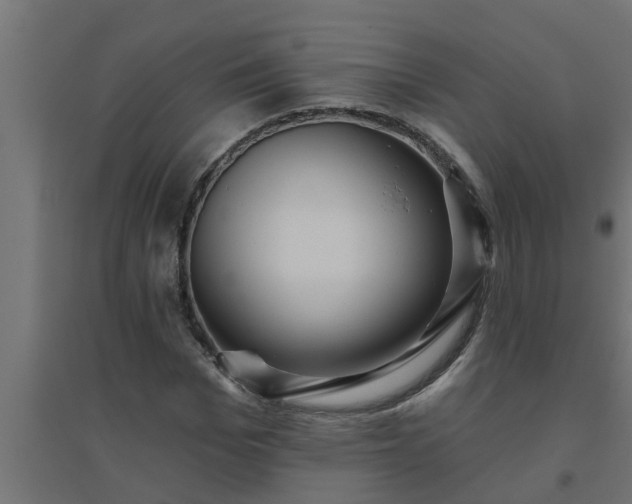 X0000094810969200711241442