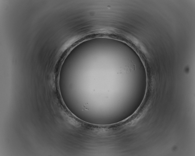 X0000094810970200711241442