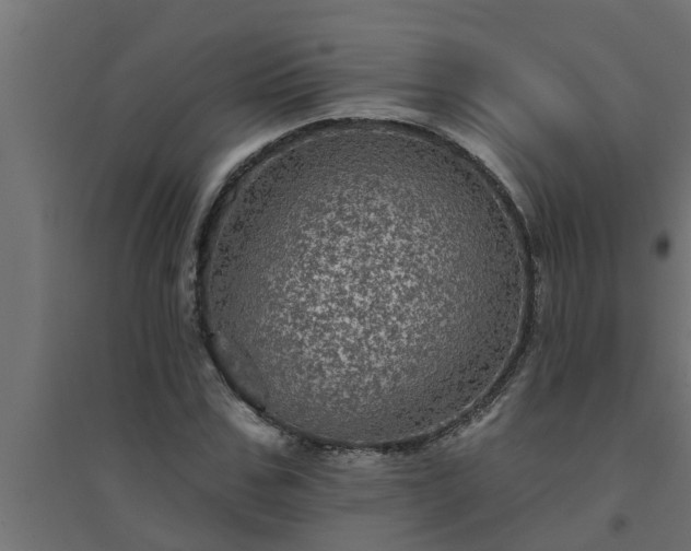 X0000094810971200711241442