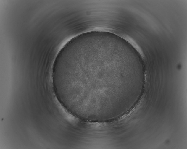 X0000094810972200711241442