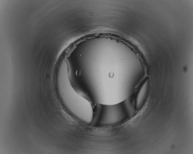 X0000094810973200711241442