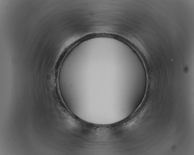 X0000094810974200711241442