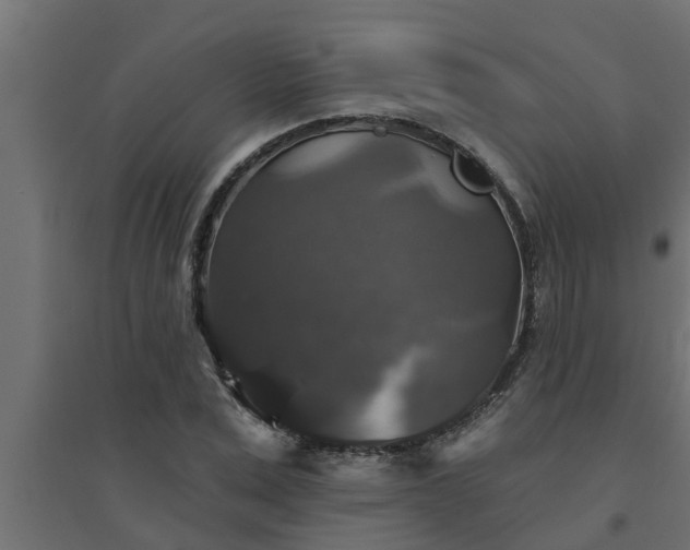 X0000094810975200711241442