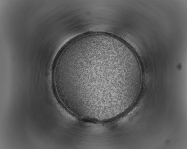 X0000094810976200711241442