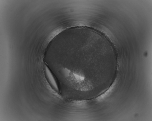 X0000094810977200711241442