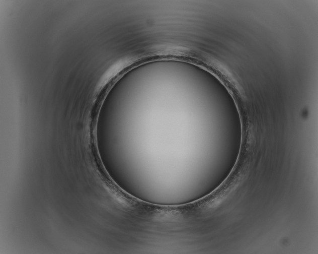 X0000094810978200711241442