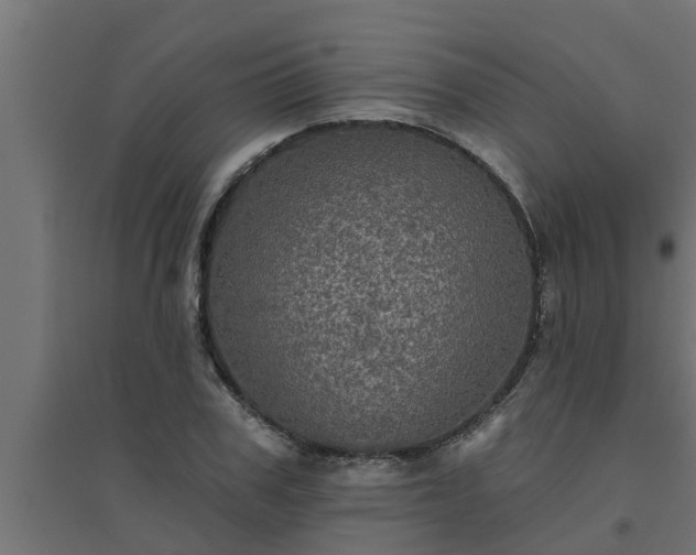 X0000094810979200711241442