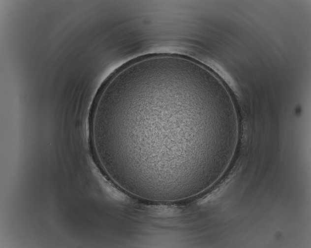 X0000094810980200711241442