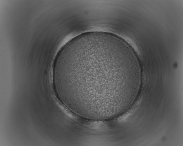 X0000094810982200711241442