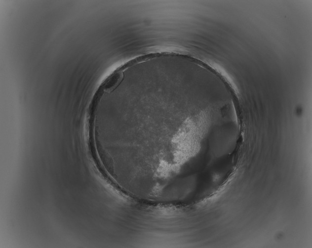 X0000094810983200711241442