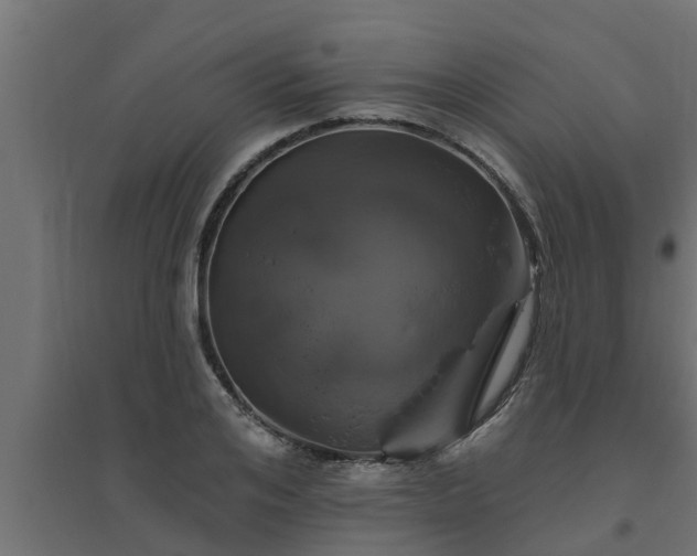 X0000094810984200711241442