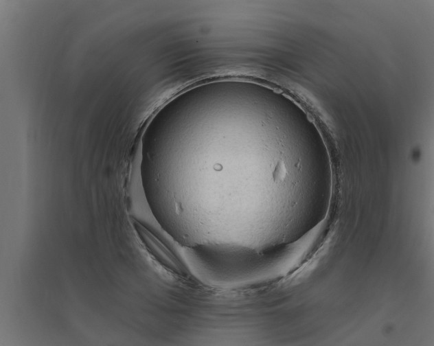 X0000094810985200711241442