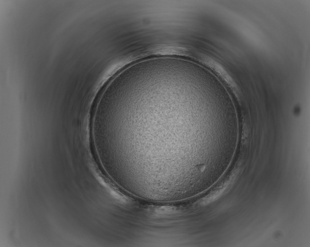 X0000094810986200711241442