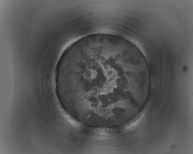 X0000094810987200711241442