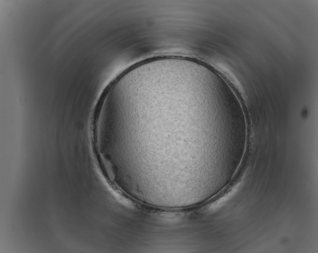 X0000094810989200711241442