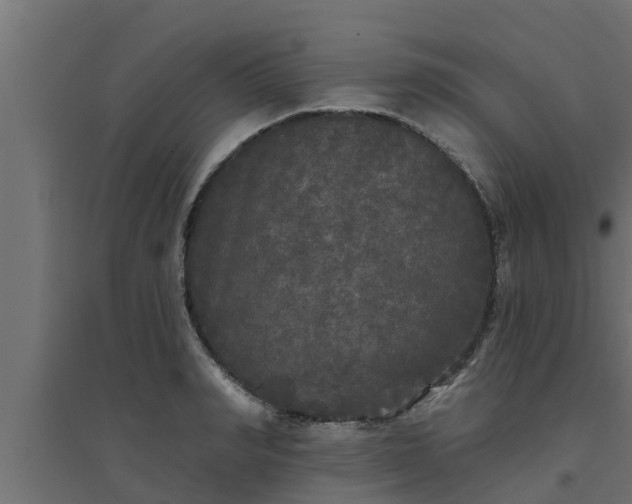 X0000094810990200711241442