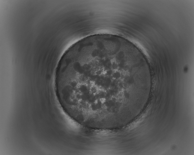 X0000094810991200711241442