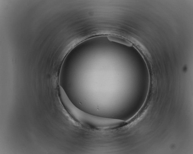 X0000094810993200711241441