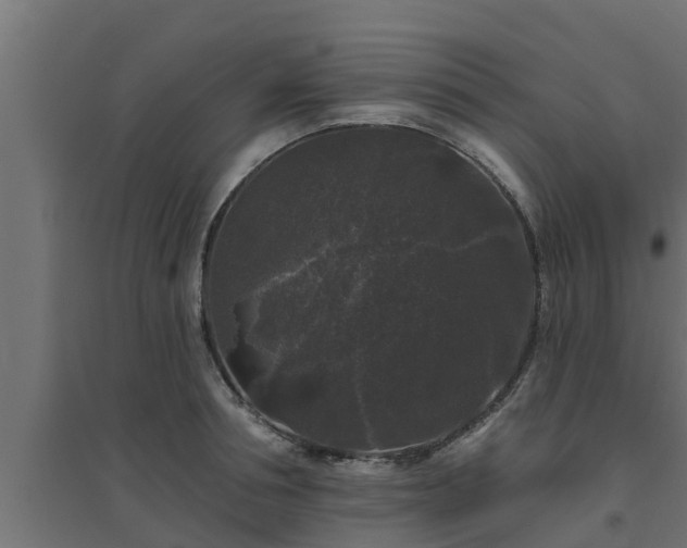 X0000094810994200711241441