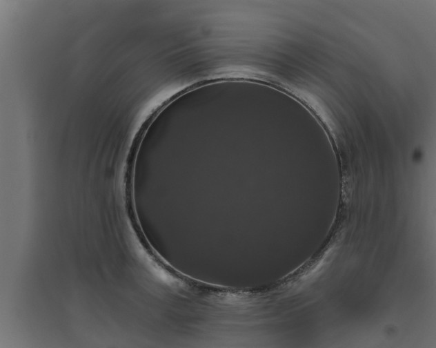 X0000094810995200711241441