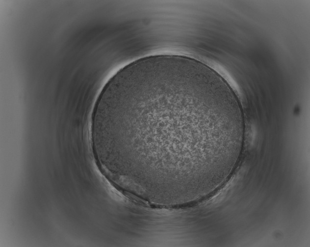 X0000094810996200711241441