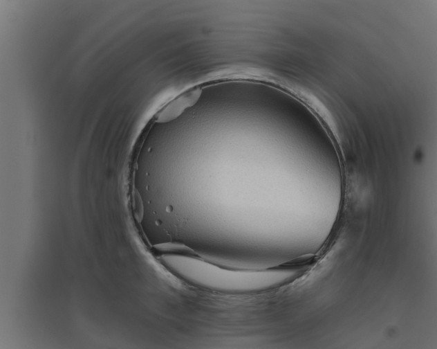 X0000094810997200711241441