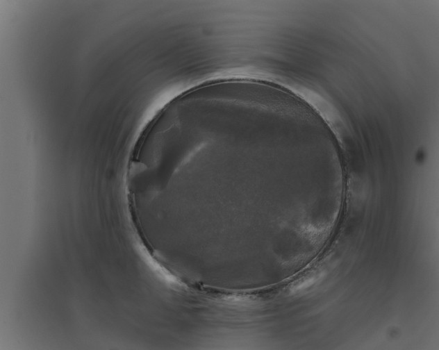 X0000094810998200711241441