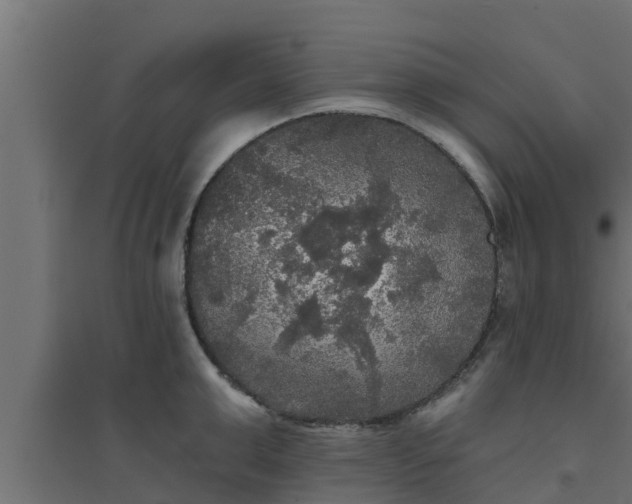 X0000094810999200711241441