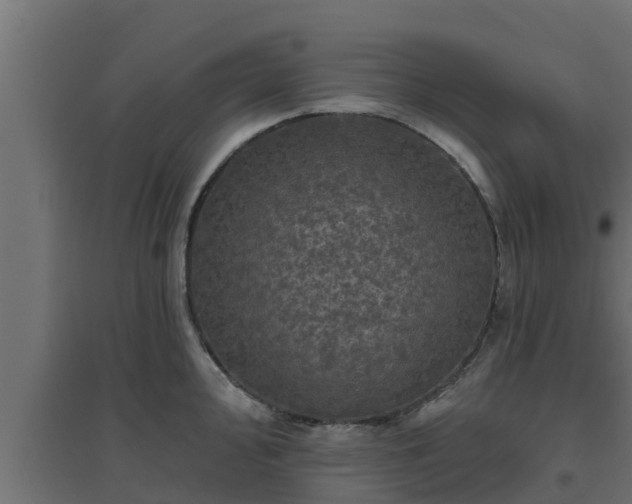 X0000094811000200711241441