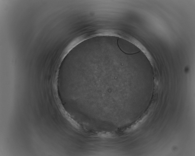 X0000094811002200711241441