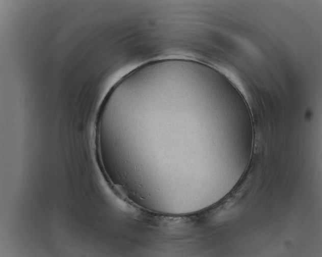 X0000094811003200711241441