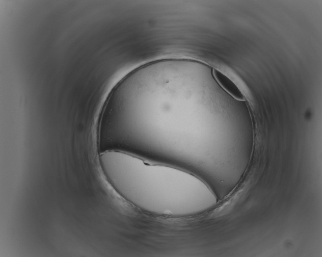 X0000094811004200711241441