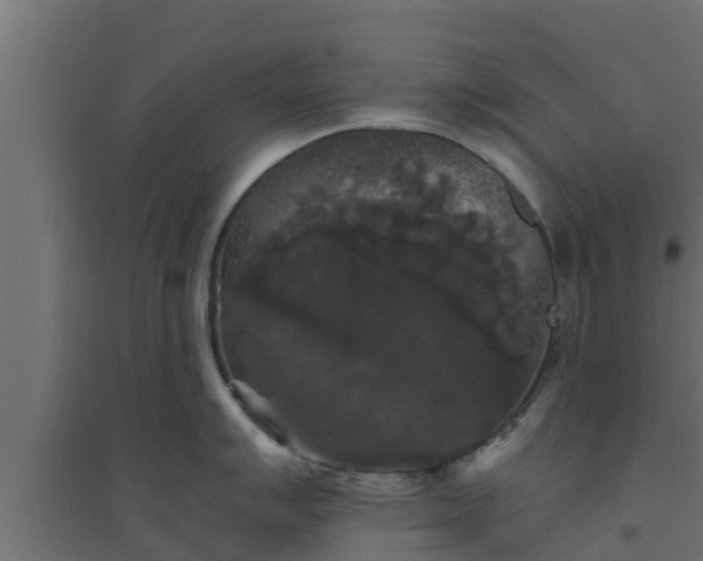 X0000094811007200711241441