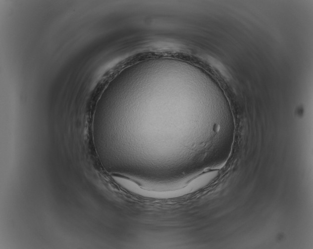 X0000094811016200711241441