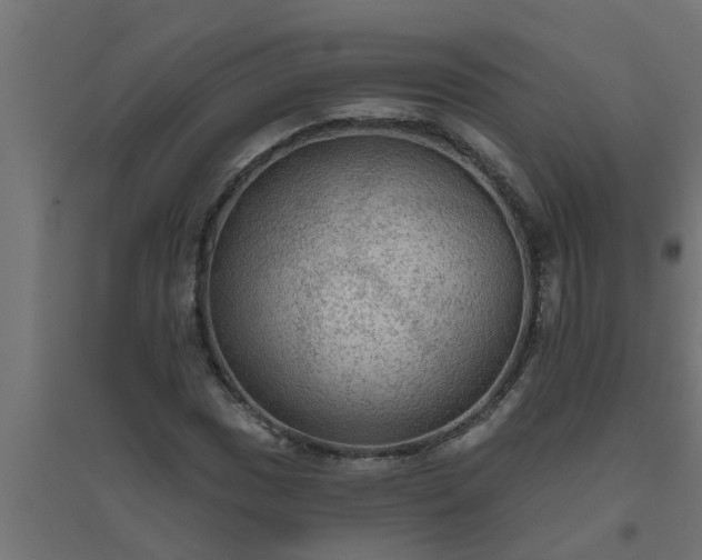 X0000094811017200711241441