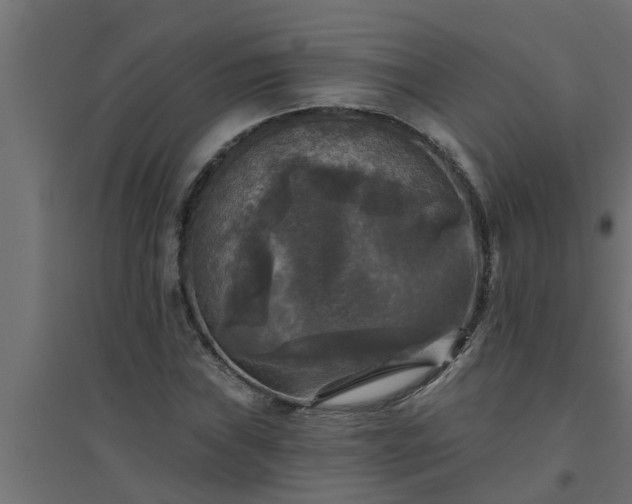 X0000094811019200711241441