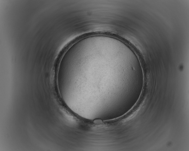 X0000094811021200711241441