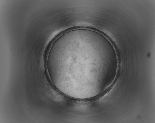 X0000094811022200711241441