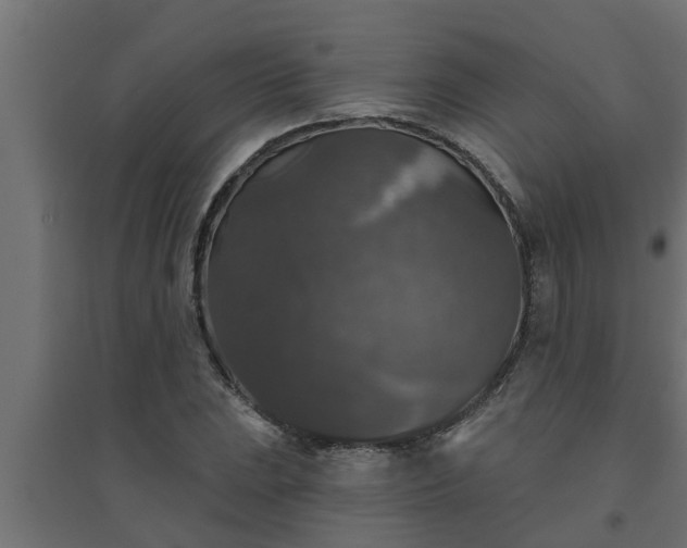 X0000094811023200711241441