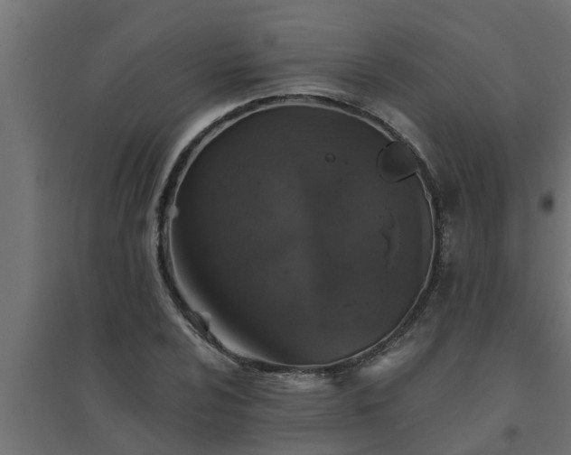 X0000094811024200711241441