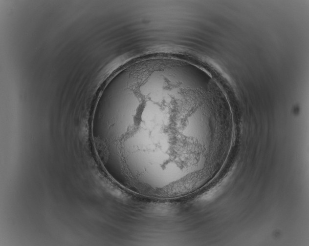 X0000094811025200711241441