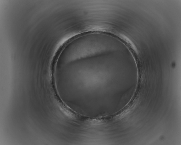 X0000094811027200711241441