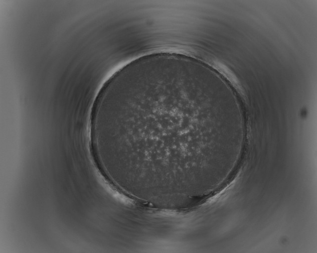 X0000094811028200711241441