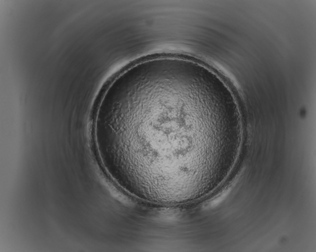 X0000094811029200711241441