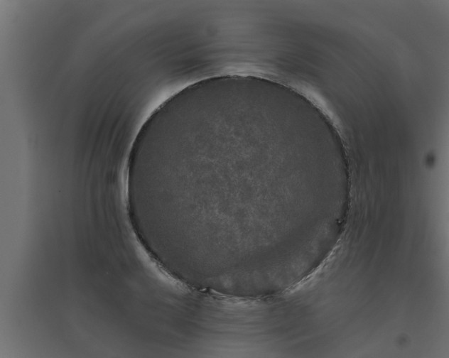 X0000094811032200711241441